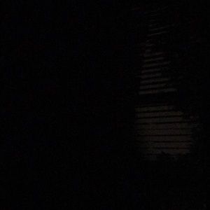 Meet your Posher, Sakara